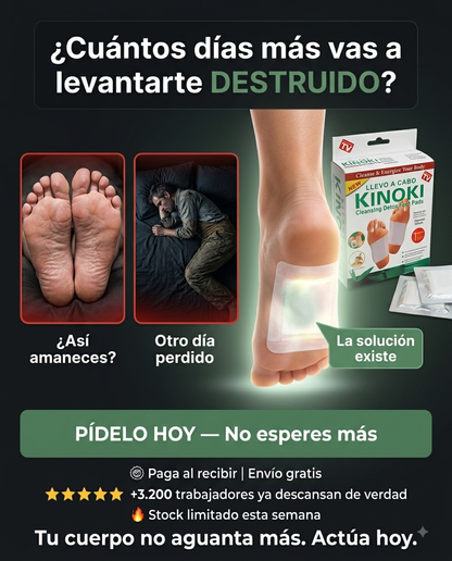 🔥 Parches Kinokis